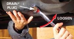 Oil Drain Plug